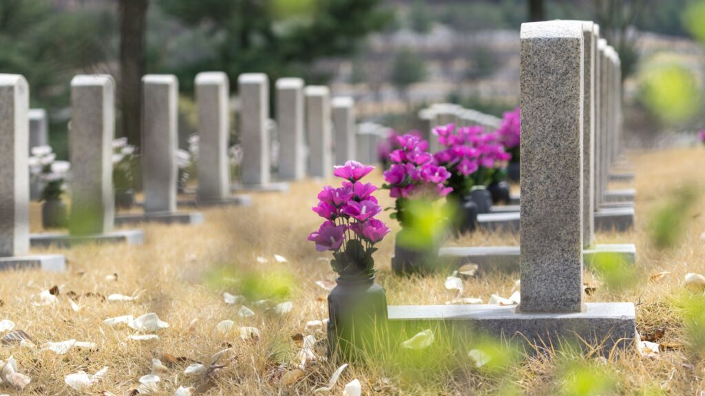 Rows of headstones with pink flowers in front of them.